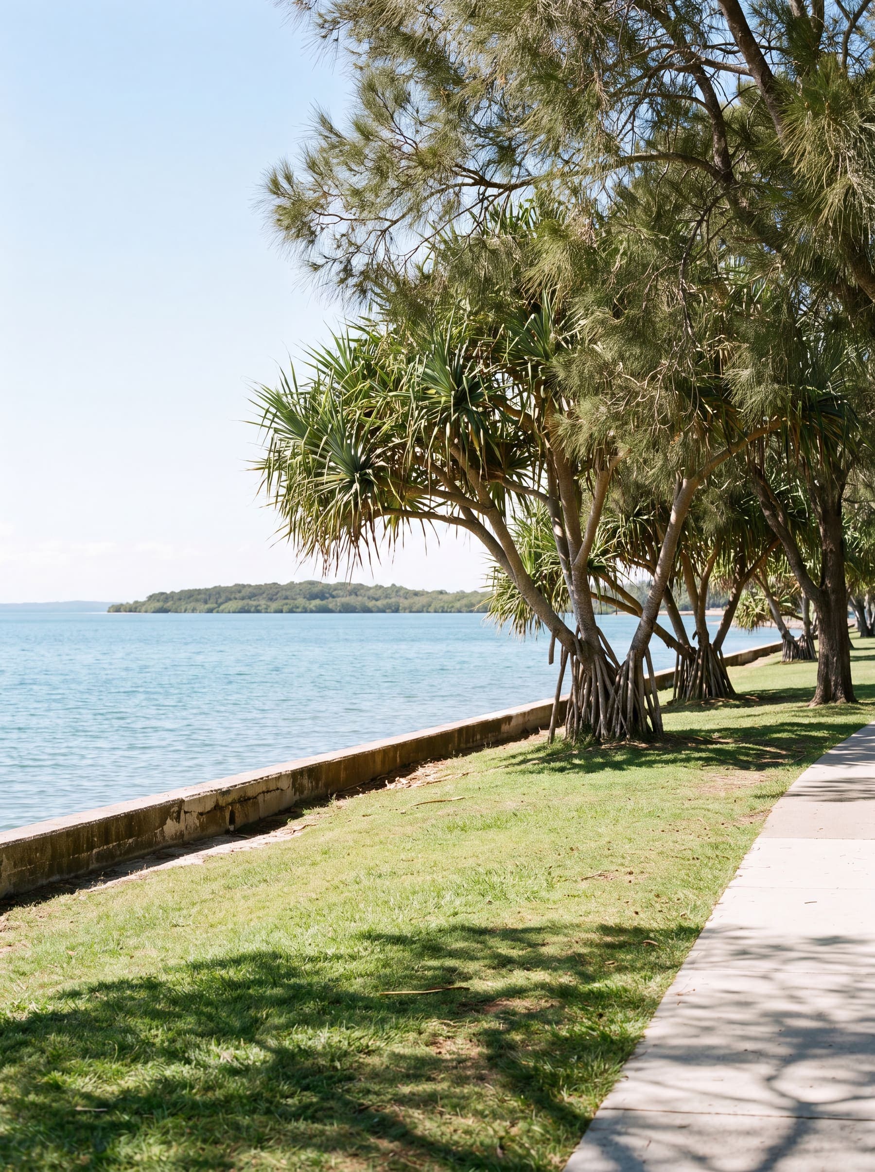 A bayside foreshore reserve, mown couch grass running to a low seawall with pandanus and she-oaks along the water and an island on the horizon.